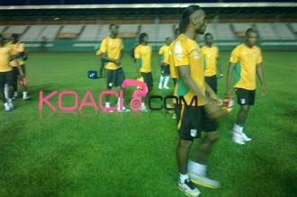 Côte d'Ivoire : Didier Zokora réintègre les éléphants mais n'est pas sûr de jouer 