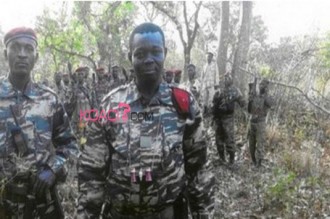 Centrafrique : Un chef rebelle arrêté au Cameroun
