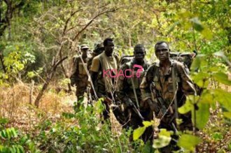 Centrafrique : De nouveaux affrontements dans le nord-ouest du pays