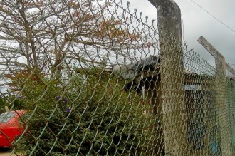 Ghana : Deux ivoiriens dérobent une voiture et se font arrêter à  la frontière dÂ’Elubo