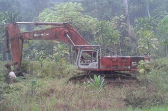 Gabon : Le grue brûlée par les génies
