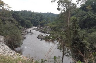 Gabon : un jeune homme égaré en forêt pendant une semaine retrouvé en vie