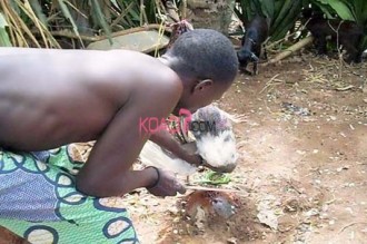 Togo : Un exorciste vaudou jugé en France