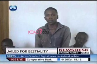  Kenya : 10 ans de prison pour relations sexuelles avec une chèvre