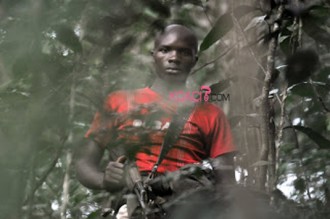 RD Congo : Les rebelles sévissent toujours au nord-kivu malgré la présence de lÂ’armée