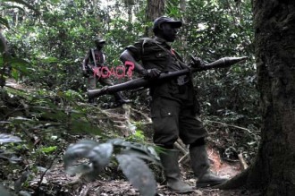 RD Congo : LÂ’armée attaque les rebelles Ougandais après le massacre dans un village