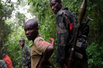 RD Congo : Le M23 se réorganise 