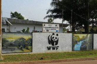Gabon :  Un agent du WWF assassiné à  Makokou