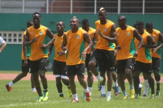Côte dÂ’Ivoire : Mondial 2014, le Brésil va offrir gratuitement les visas aux supporters 