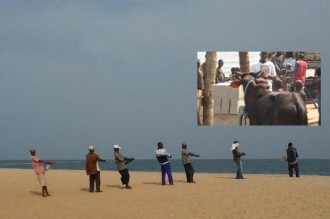 Ghana : Le taureau pêché dans la mer refait parler de lui 