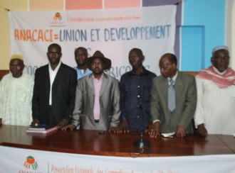 COTE D'IVOIRE : Respect du prix du kg du cacao, des producteurs lancent un numéro vert 