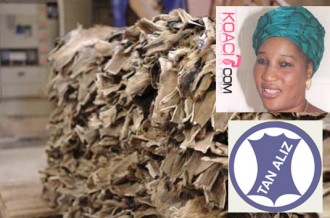 SOCIETE TAN ALIZ : Grève chez la belle mère nationale