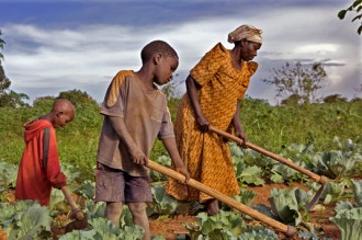 GABON : Raymond Ndong Sima reçoit la FAO