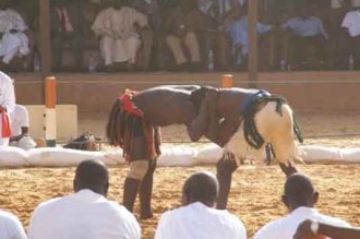Le gouvernement à  la rescousse du sport roi au Niger !