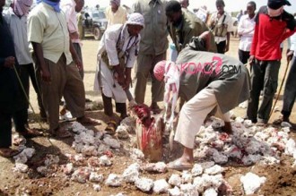 MALI : Aguel Hoc au Nord Mali : Pour avoir eu des enfants hors mariage, un couple lapidé à  mort par les islamistes