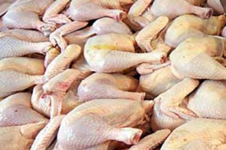 SENEGAL: Poulets importés, Danger!