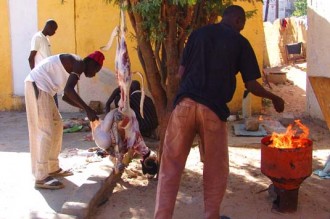 Tabaski : Le mouton fait du youyou comme le baril avant lÂ’OPEP!