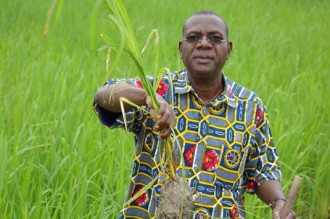 COTE D'IVOIRE : Trafic de véhicules de luxe volés, un proche de Gbagbo écroué à  la MACA