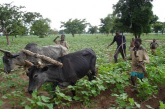 Saison agricole 2009: les nouvelles du ciel ne sont pas bonnes