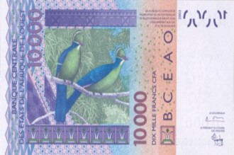 Profession ? Brouteur à  Abidjan