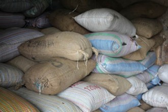 CÔTE D'IVOIRE: Les producteurs de cacao espèrent que les réformes leur seront bénéfiques 