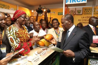 COTE D'IVOIRE : Le cacao brille à  Abidjan 