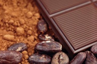 COTE D'IVOIRE - CACAO : CEMOL accroit sa capacité de transformation