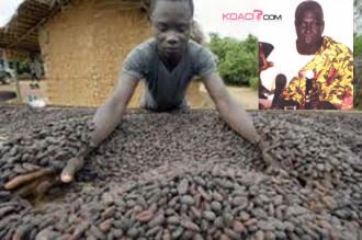 Commercialisation du cacao ivoirien: Les planteurs optent pour des pays d'Asie