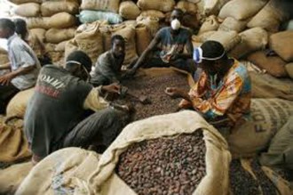 COTE D'IVOIRE: Café-cacao : le racket et le mauvais prix à  la base de la fuite de la production vers le Ghana