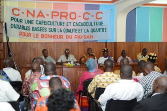 COTE D'IVOIRE :  Des producteurs de café-cacao en croisade contre les subventions accordées aux multinationales