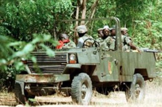Casamance:  Sept militaires et plusieurs rebelles tués