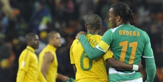 Eléphants: les jeux sont faits