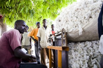 FMI: Le Mali a la croissance en poupe !
