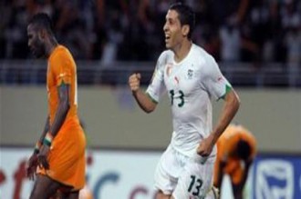 Eléphants, la grosse déception