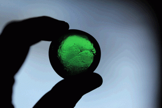 COTE D'IVOIRE : 13 milliards FCFA pour le développement durable en 2013 