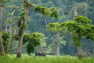 GABON : Notre terre, leur business! Communique de Presse d'Attac Gabon