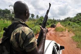 COTE D'IVOIRE : Un commando libérien se prépare à  attaquer de l'autre côté de la frontière