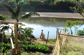 ENVIRONNEMENT GABON: Ali Bongo à  l'heure anglaise!