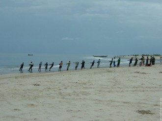 GABON : Un accord de pêche Gabon-Union européenne discuté à  la Primature