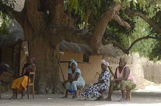 Une bande armée pille un village en Casamance et viole la femme du marabout