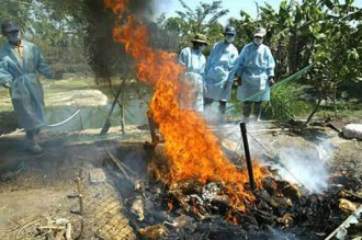 La grippe A H1N1 «aux portes» du Sénégal