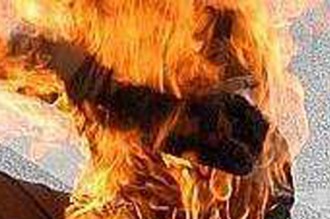 Immolation derrière le palais présidentiel