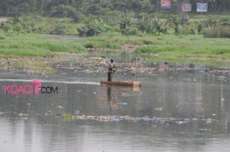COTE D'IVOIRE: POLLUTION: On cultive sur la lagune !