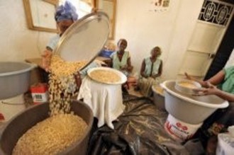 NIGER: Le niébé, aliment très prisé à  Niamey