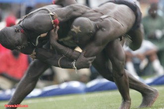 LUTTE TRADITIONNELLE : Le Niger sacré champion