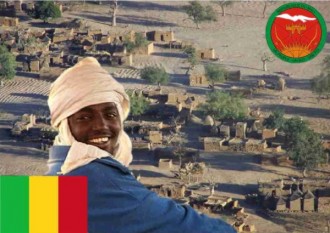 Cinquantenaire:la diaspora malienne lance  ses activités