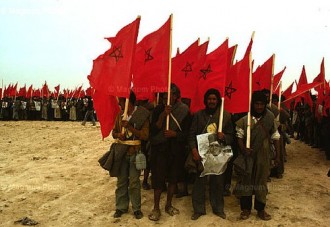 TRIBUNE MAROC : 37ème Anniversaire de la Marche Verte et déferlement injurieux     de la presse algérienne