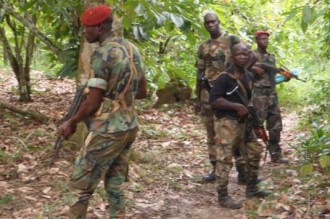 COTE D'IVOIRE : Des commandos attaquent deux villages non loin de Toulepleu