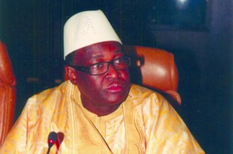 MALI Présidentielle 2012: Le PARENA sÂ’empare du point focal du PDES à  Nioro du Sahel