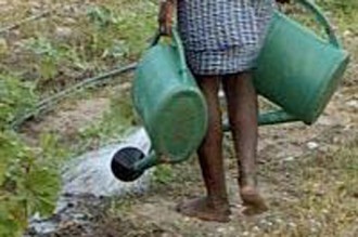 Les milliards pour qu'il pleuve au Mali